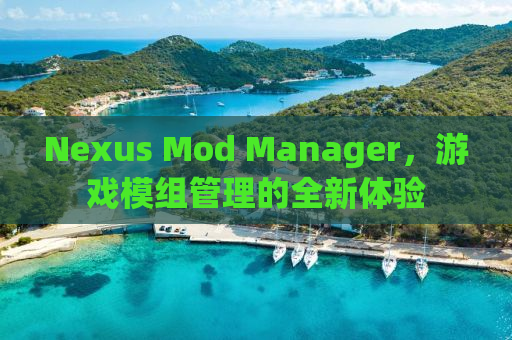 Nexus Mod Manager，游戏模组管理的全新体验