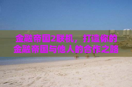 金融帝国2联机，打造你的金融帝国与他人的合作之路