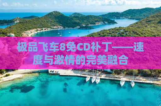 极品飞车8免CD补丁——速度与激情的完美融合