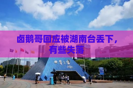 卤鹅哥回应被湖南台丢下，有些失落